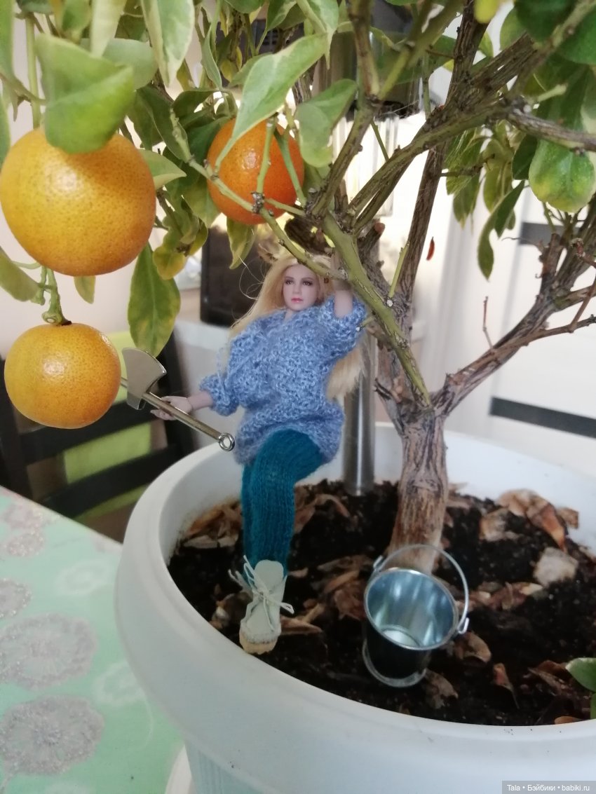 На ранчо все в трудах, в заботах (фото 2)