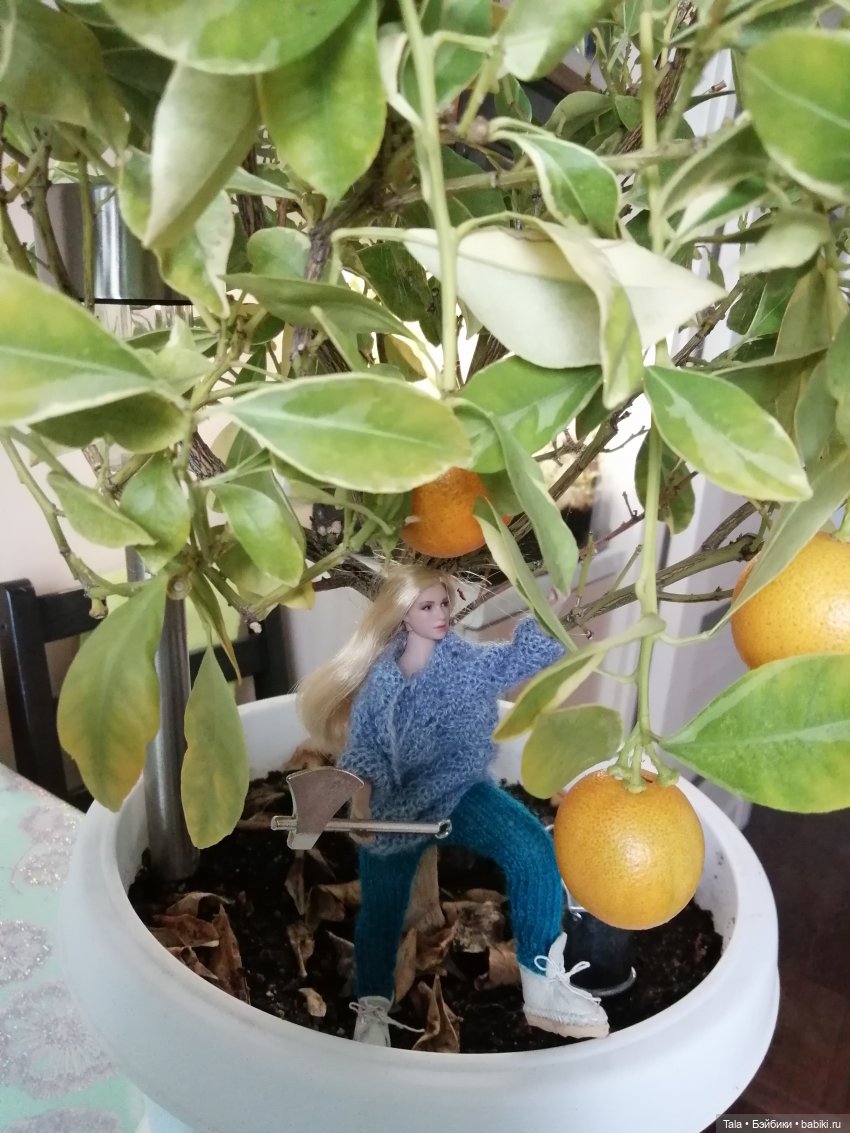 На ранчо все в трудах, в заботах