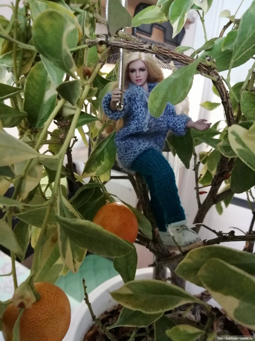 На ранчо все в трудах, в заботах (фото 4)