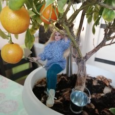 На ранчо все в трудах, в заботах