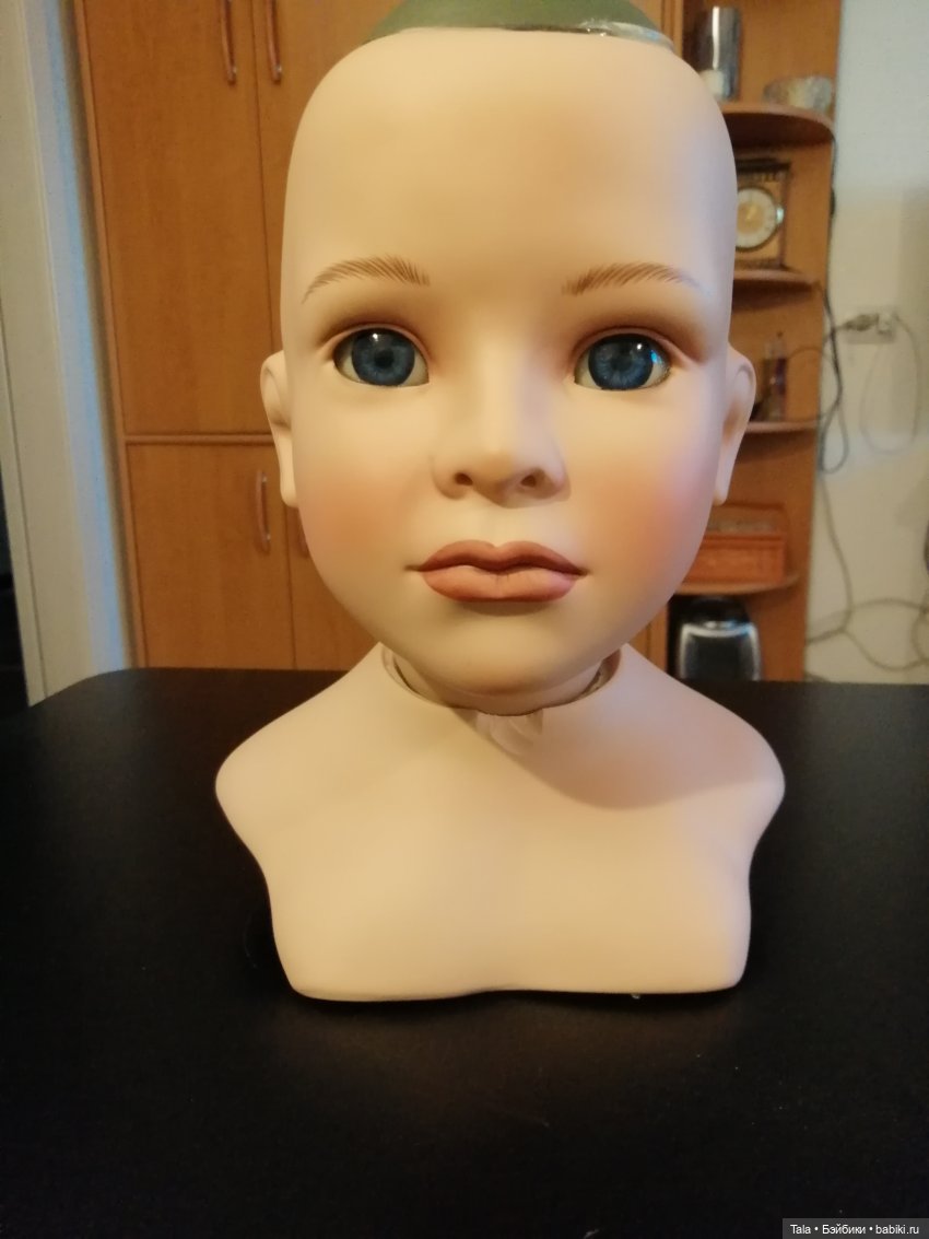 Синеглазка слегка обиделась (фото 2)