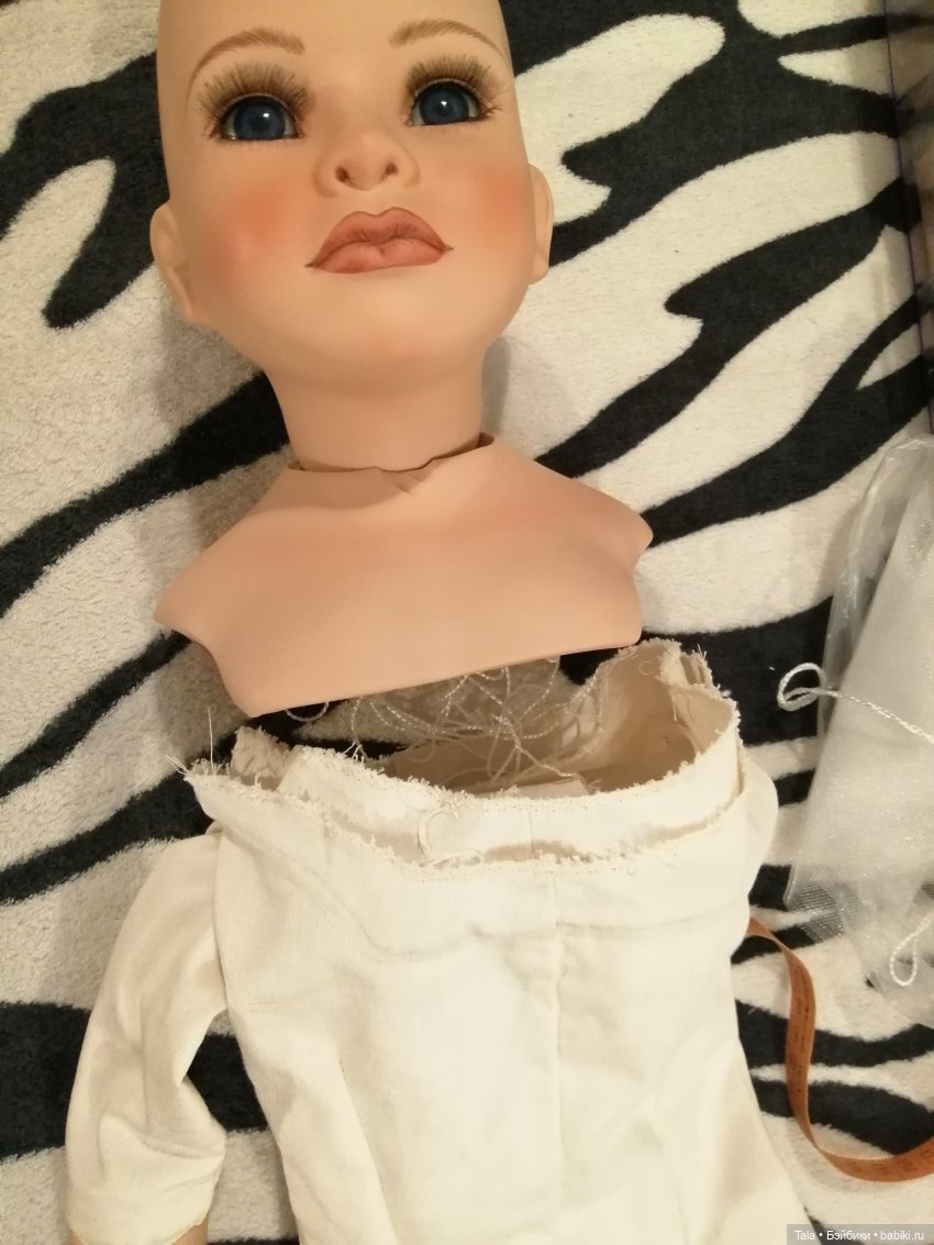 Синеглазка слегка обиделась (фото 4)