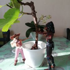 Инжировый день