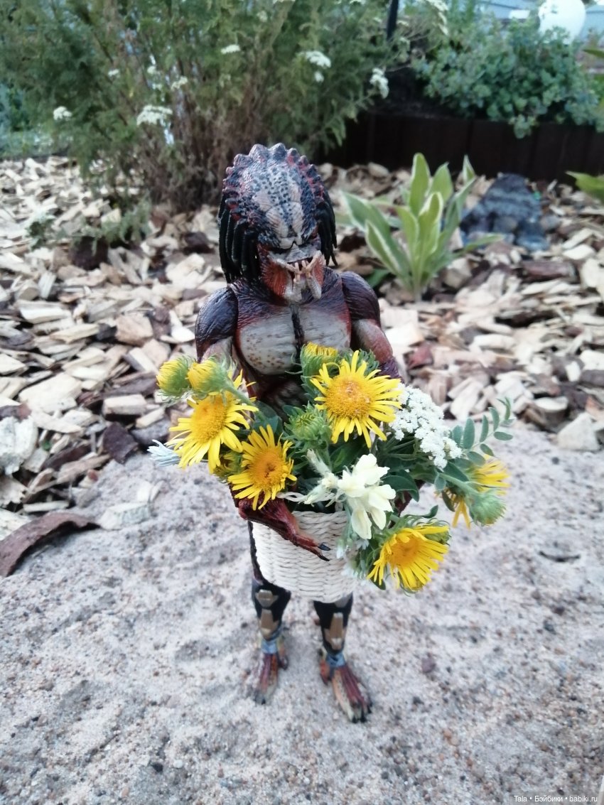 Пчелиный пруд — Красивая природа и цветы: фото пейзажей (фото 10)