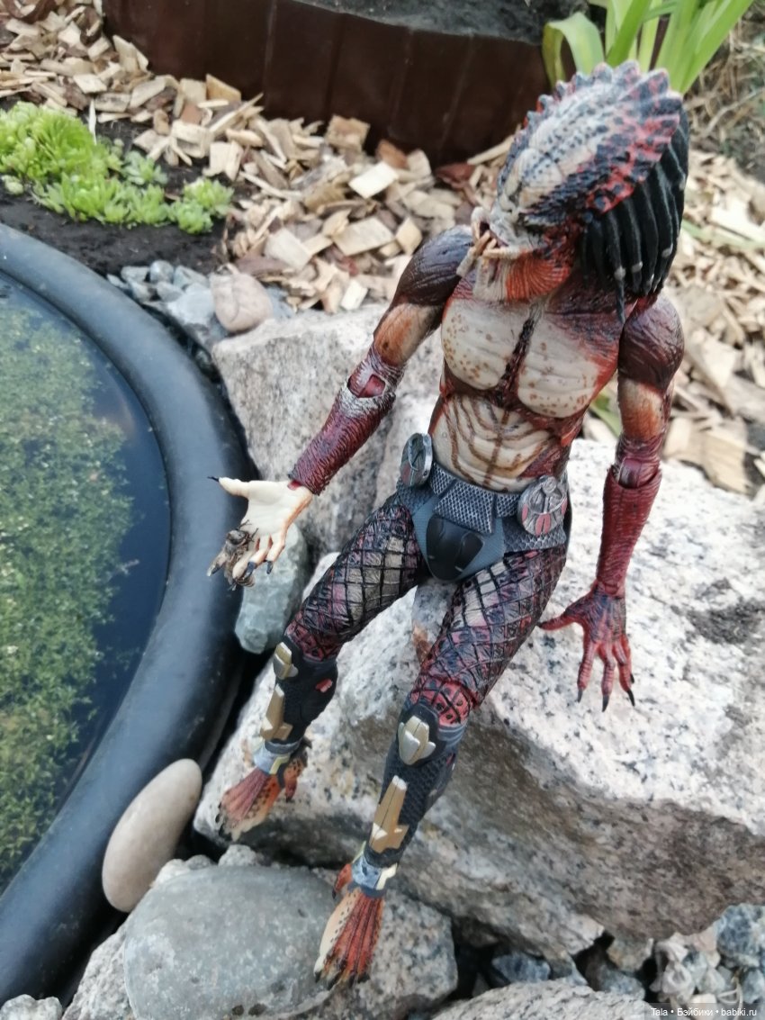 Пчелиный пруд — Красивая природа и цветы: фото пейзажей (фото 3)