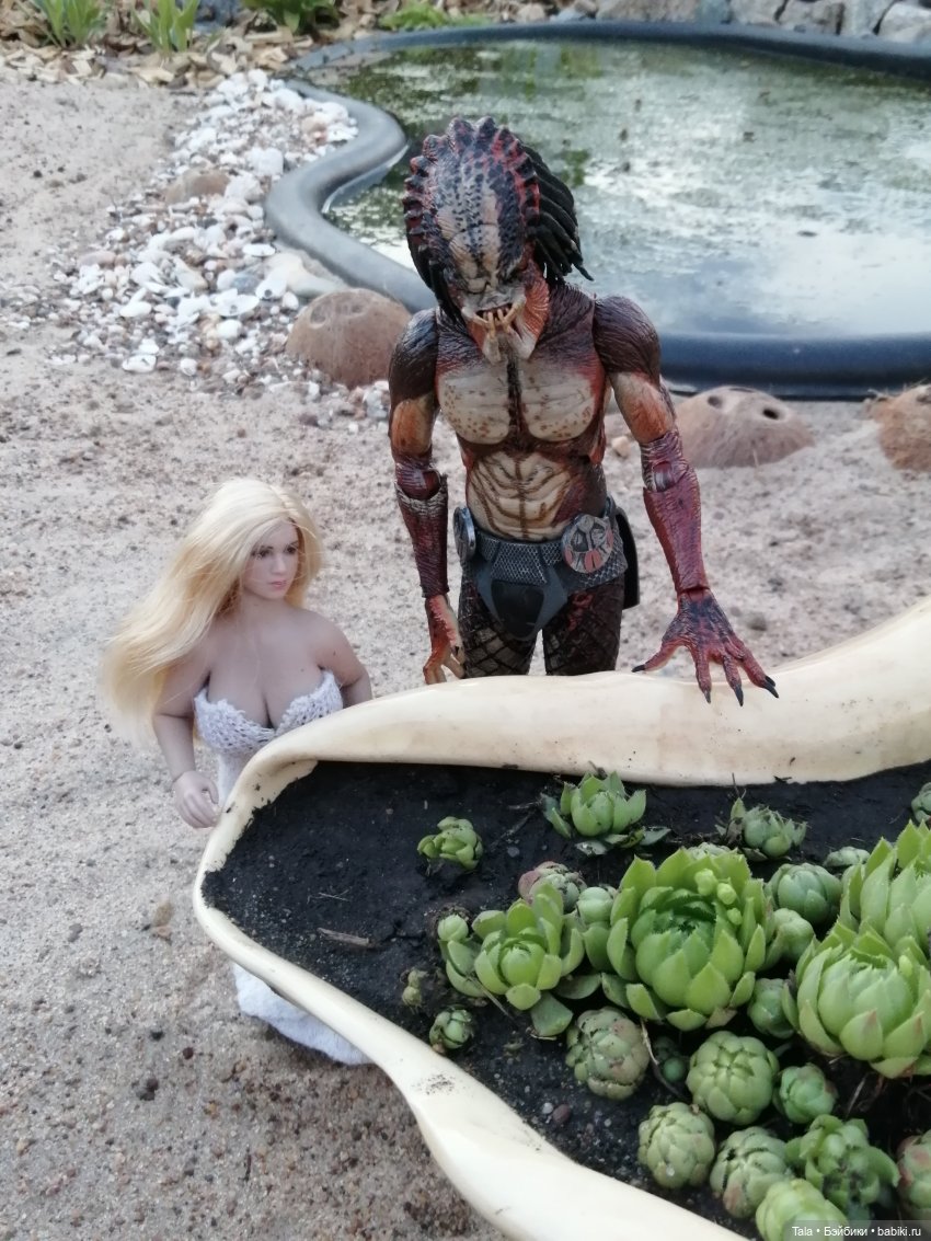 Пчелиный пруд — Красивая природа и цветы: фото пейзажей (фото 6)