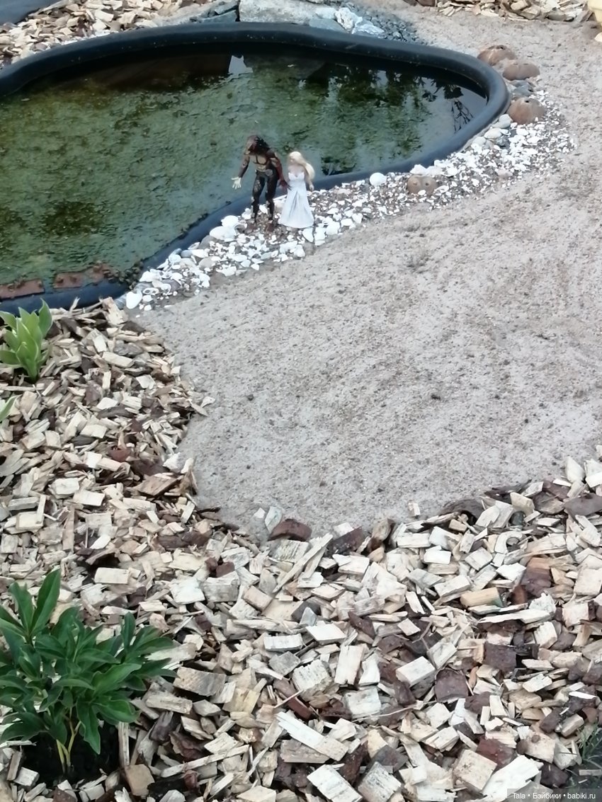 Пчелиный пруд — Красивая природа и цветы: фото пейзажей