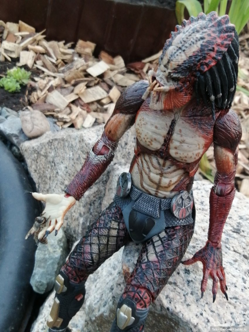 Пчелиный пруд — Красивая природа и цветы: фото пейзажей (фото 4)