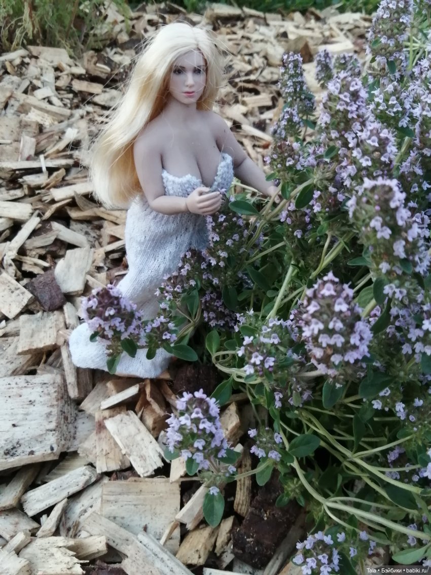 Пчелиный пруд — Красивая природа и цветы: фото пейзажей (фото 8)