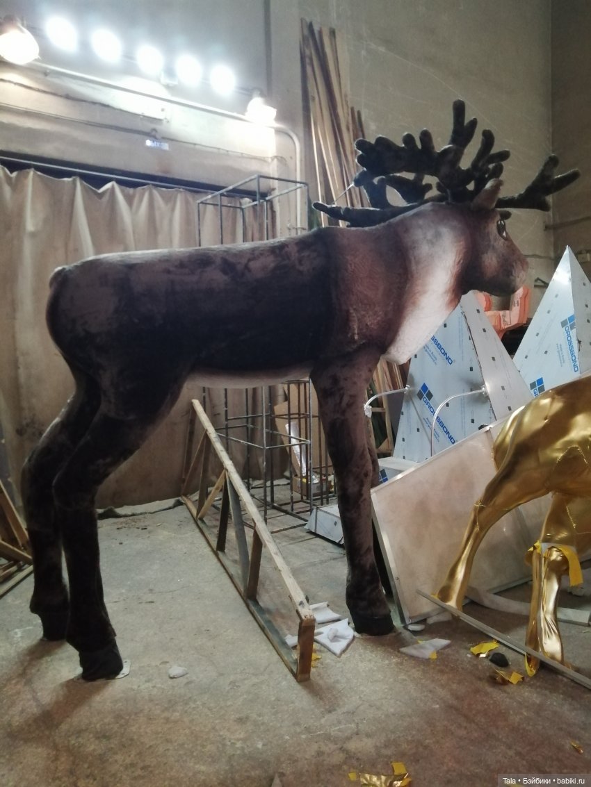 Есть желающие прогуляться по закулисью (фото 7)