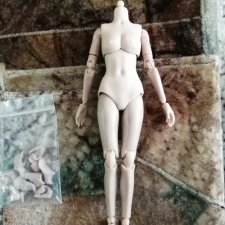 Телоид женский 1/12