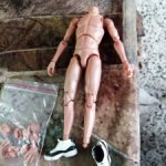 Телоид мужской 1/12