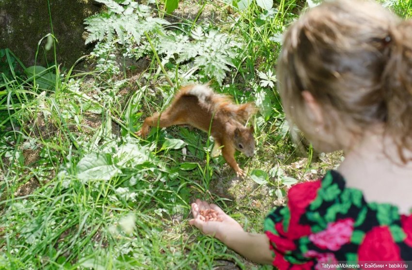 Сероглазка. Девушка с УО — Интересное и необычное: фотоподборки