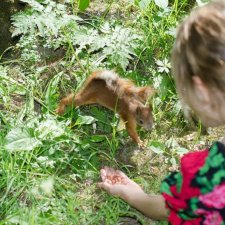 Сероглазка. Девушка с УО.