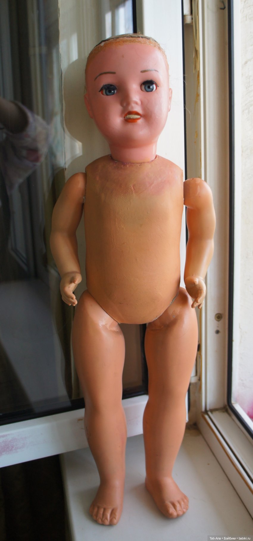 Куколки приехали и теперь вопросы, вопросы, вопросы (фото 6)