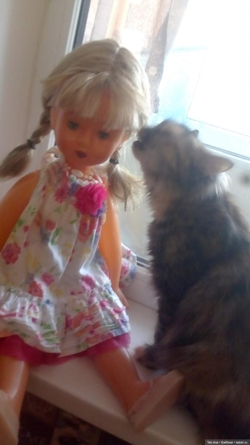 Пеляне или Золушка, история со счастливым концом - 4 (фото 2)