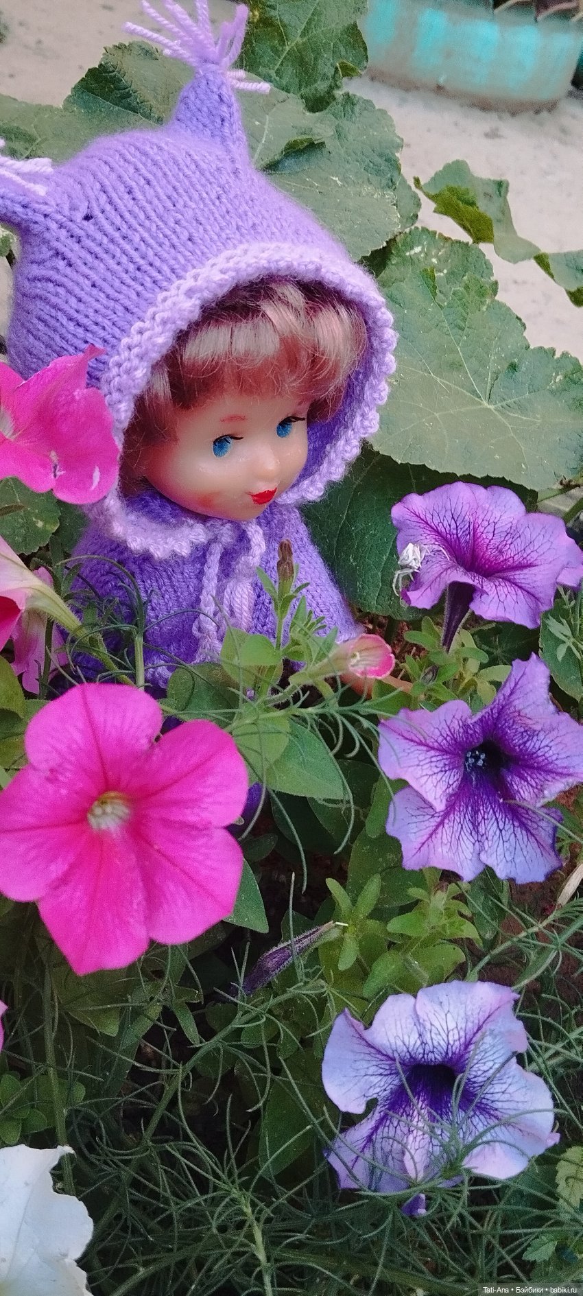 Раз цветочек, два цветочек, а на третьем паучок (фото 8)