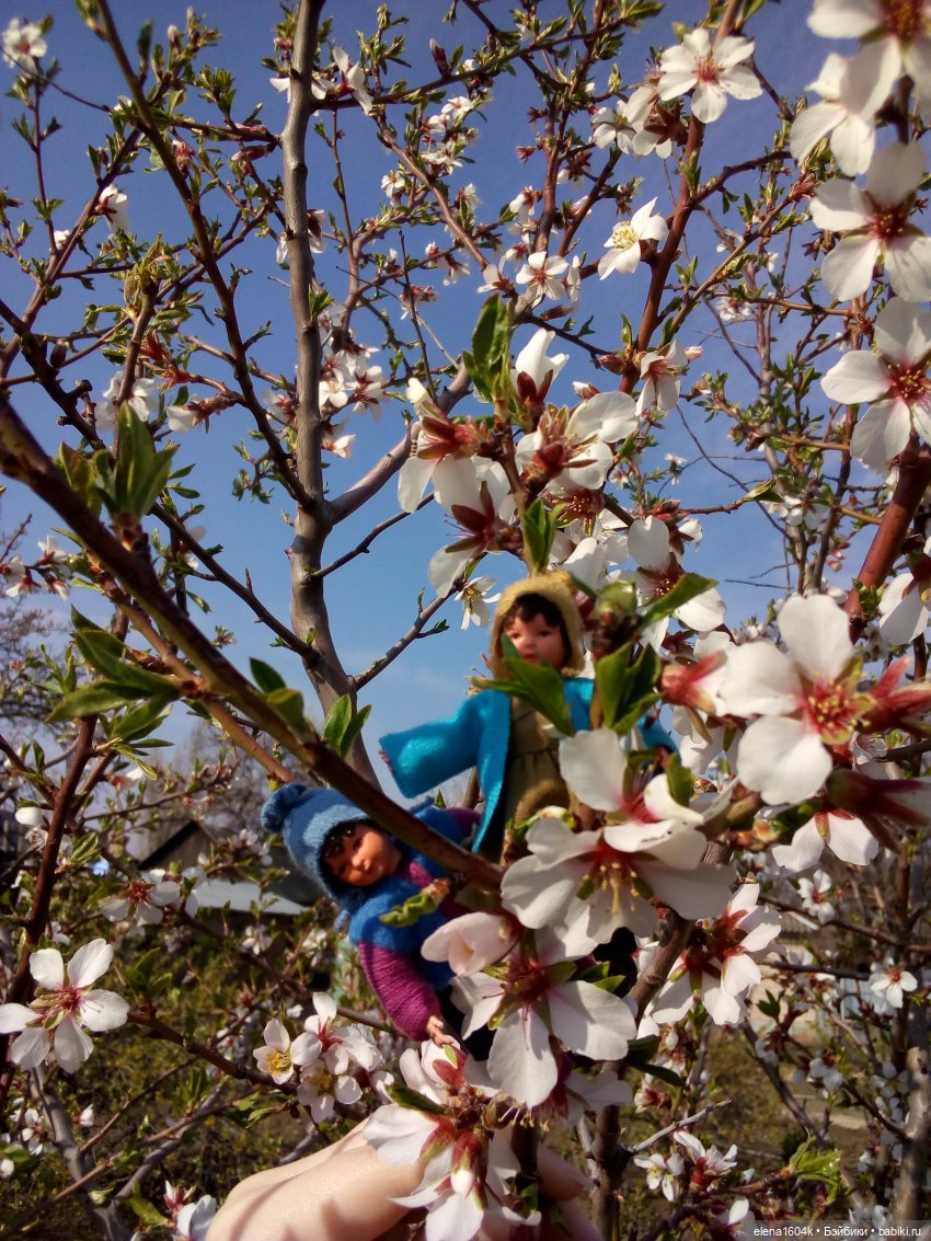 Весна и мои Минимирочки — Куклы Минимир (Minimir): Пупсы 7 и 11 см