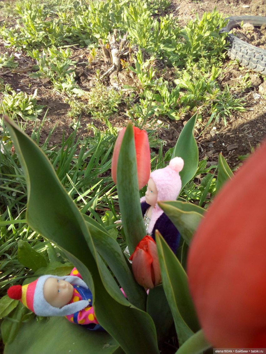 Прогулка с Машенькой и Сашенькой