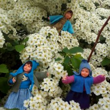 А у нас невеста расцвела