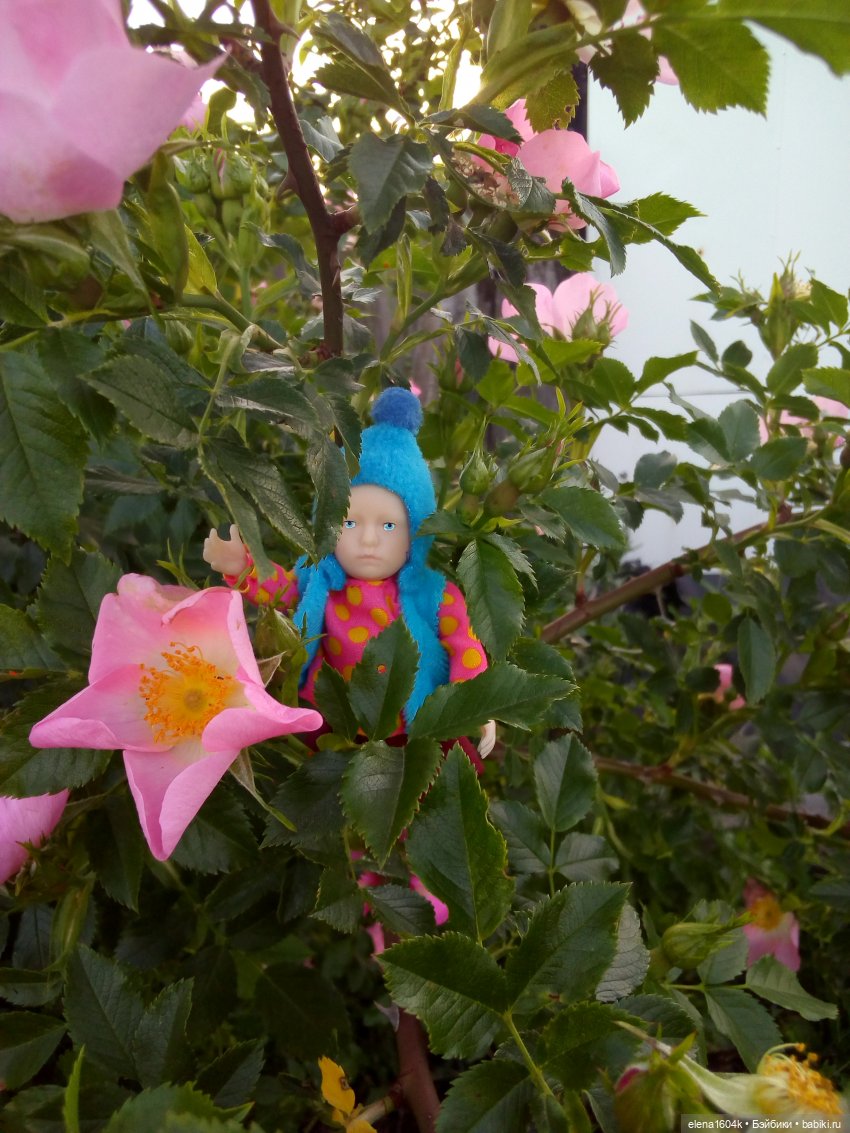 Цветы и Минимирочки — Куклы Минимир (Minimir): Пупсы 7 и 11 см