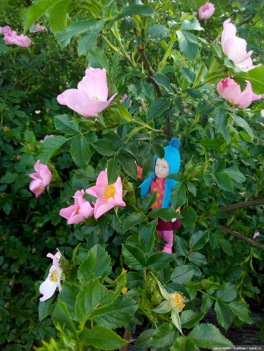 Цветы и Минимирочки — Куклы Минимир (Minimir): Пупсы 7 и 11 см (фото 2)