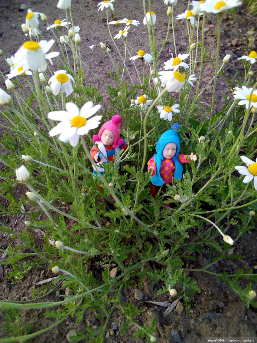 Цветы и Минимирочки — Куклы Минимир (Minimir): Пупсы 7 и 11 см (фото 6)
