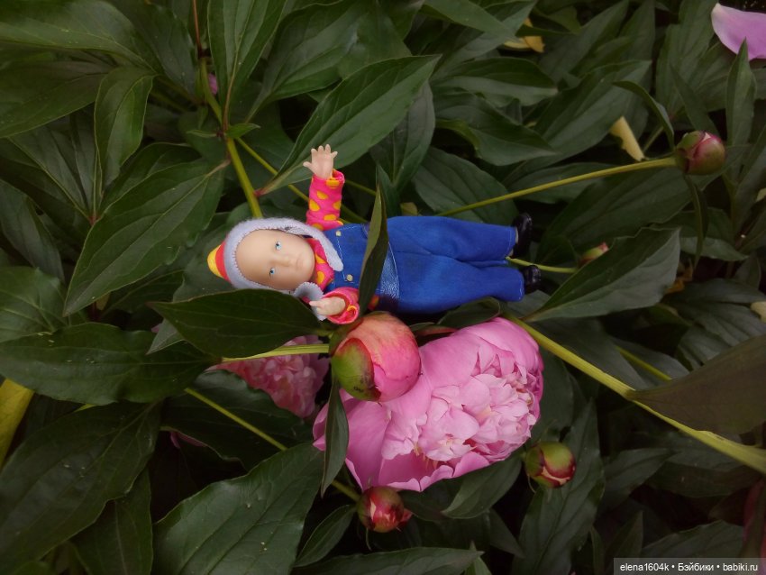 Фотосессия с Ванюшкой — Куклы Минимир (Minimir): Пупсы 7 и 11 см (фото 10)