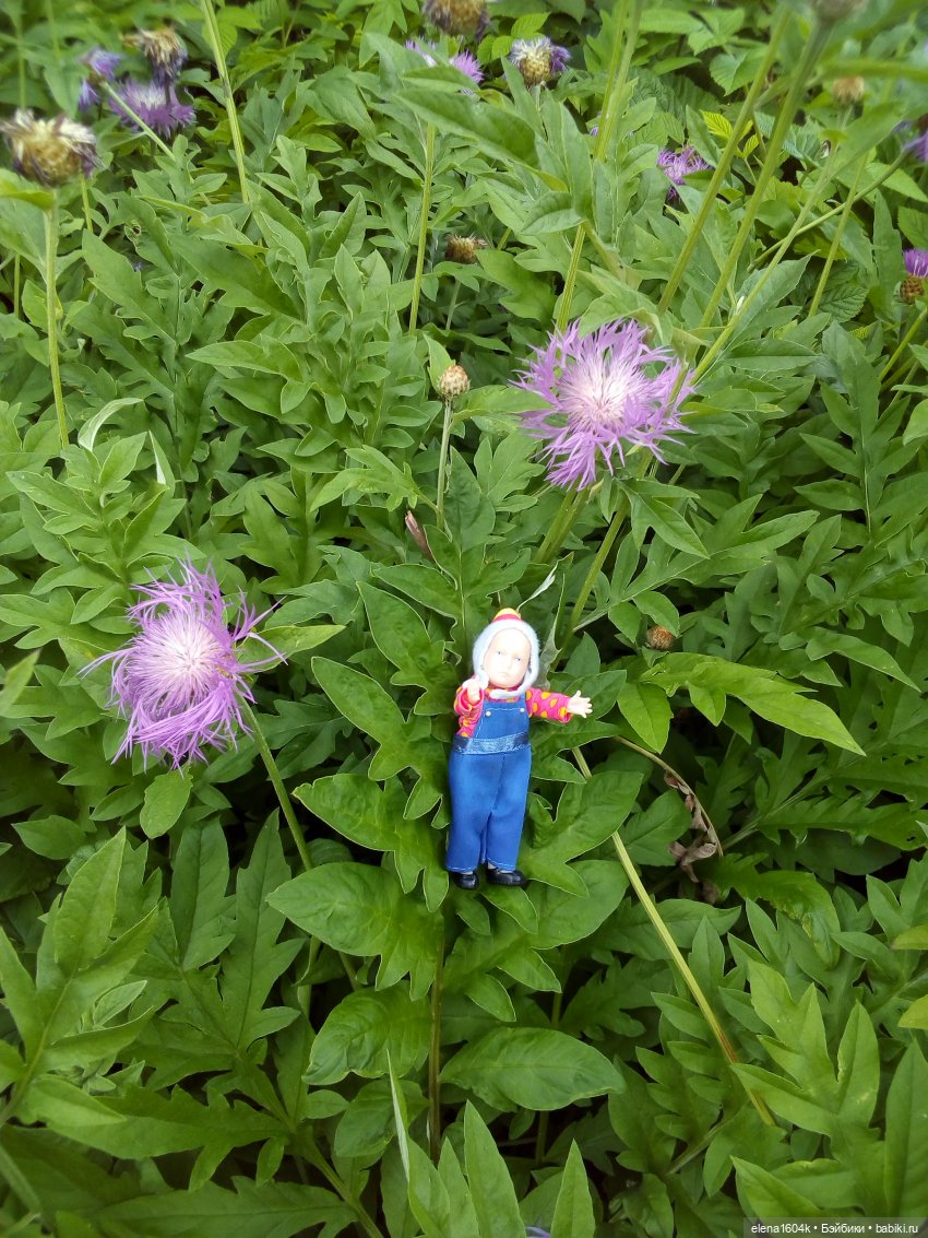 Фотосессия с Ванюшкой — Куклы Минимир (Minimir): Пупсы 7 и 11 см (фото 9)