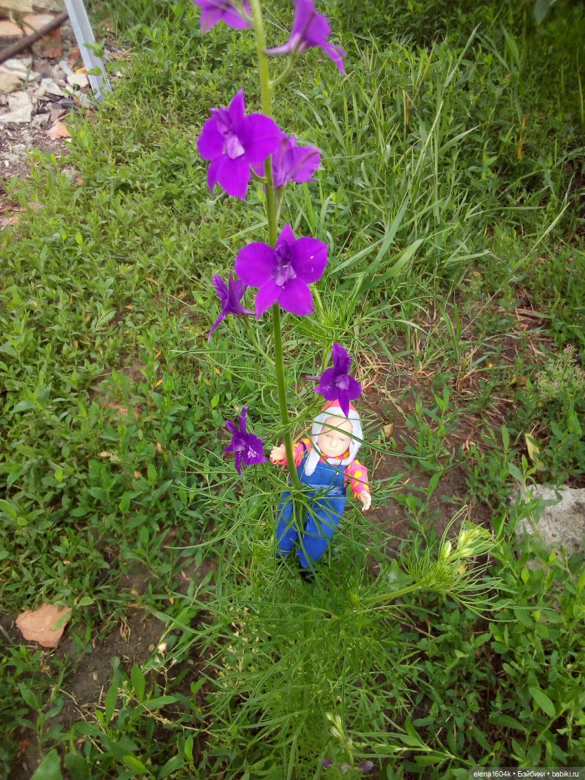 Фотосессия с Ванюшкой — Куклы Минимир (Minimir): Пупсы 7 и 11 см (фото 8)