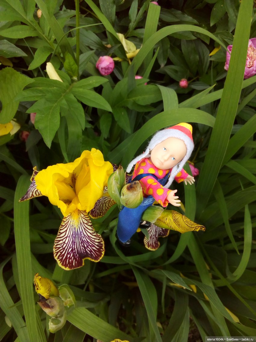 Фотосессия с Ванюшкой — Куклы Минимир (Minimir): Пупсы 7 и 11 см (фото 7)