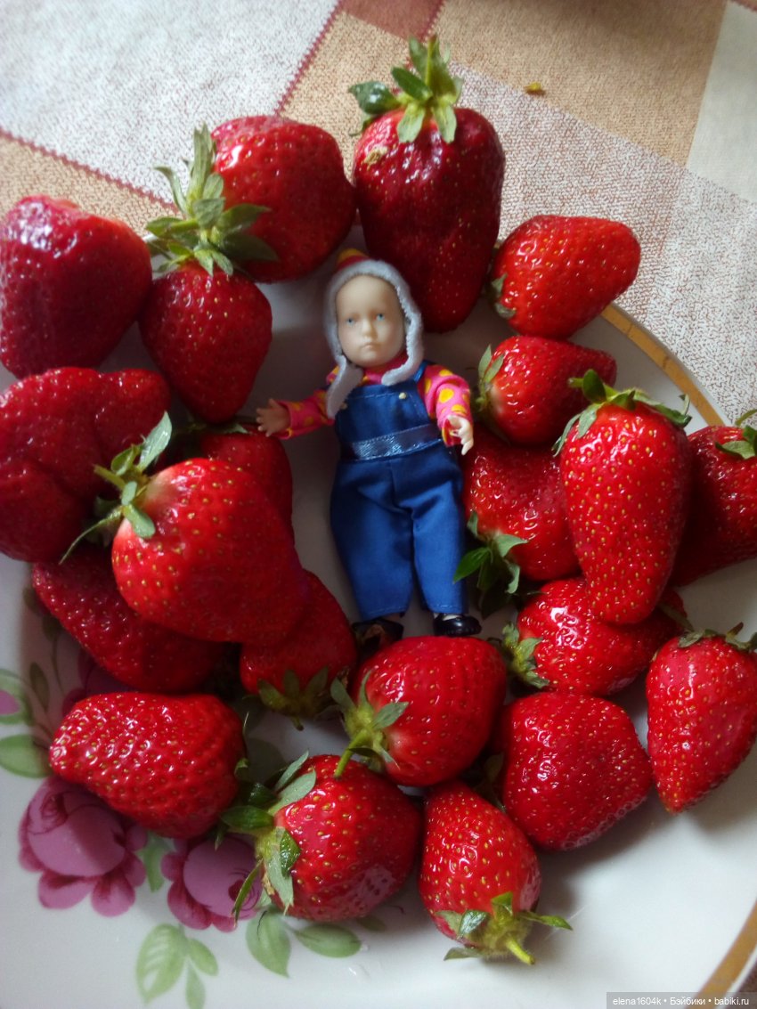 Фотосессия с Ванюшкой — Куклы Минимир (Minimir): Пупсы 7 и 11 см