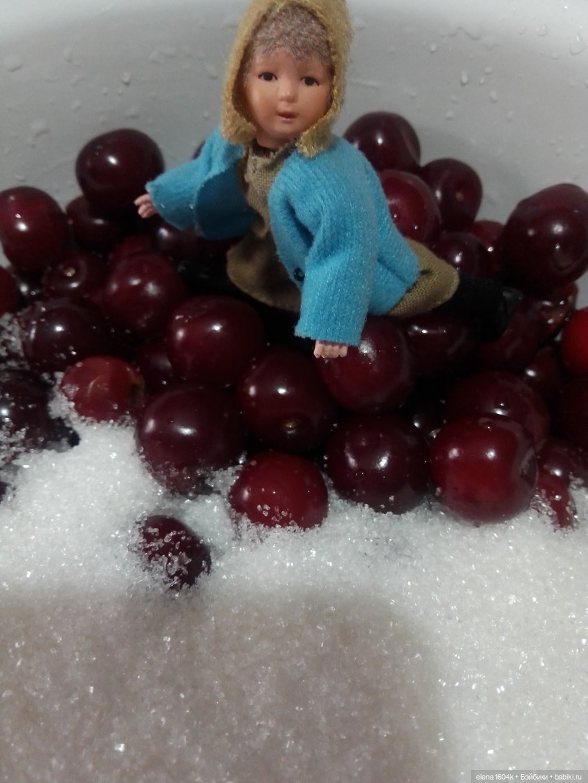 Вишневый сад и помощница Алиночка (фото 10)