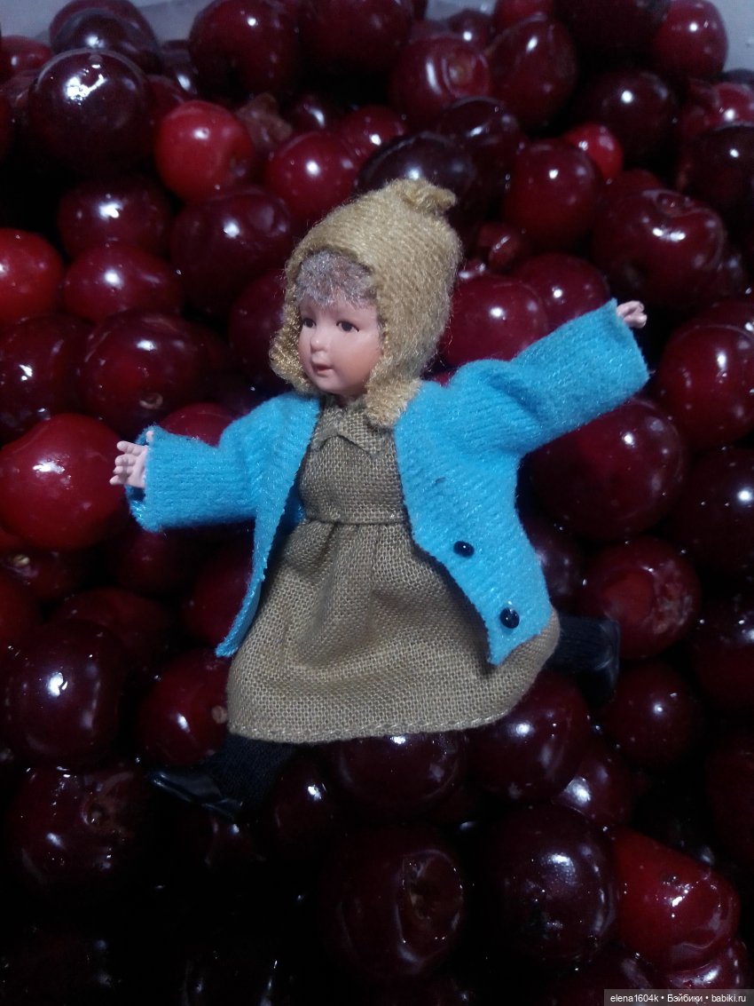 Вишневый сад и помощница Алиночка (фото 7)