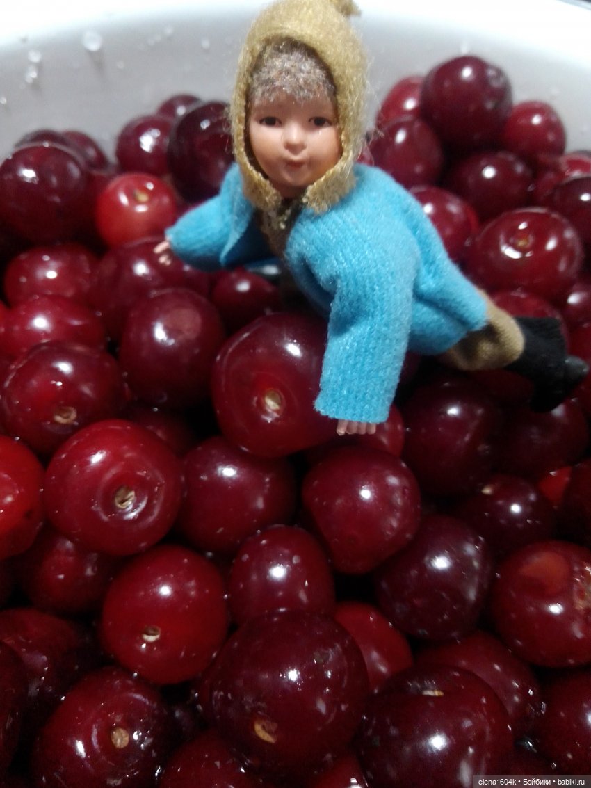 Вишневый сад и помощница Алиночка (фото 8)