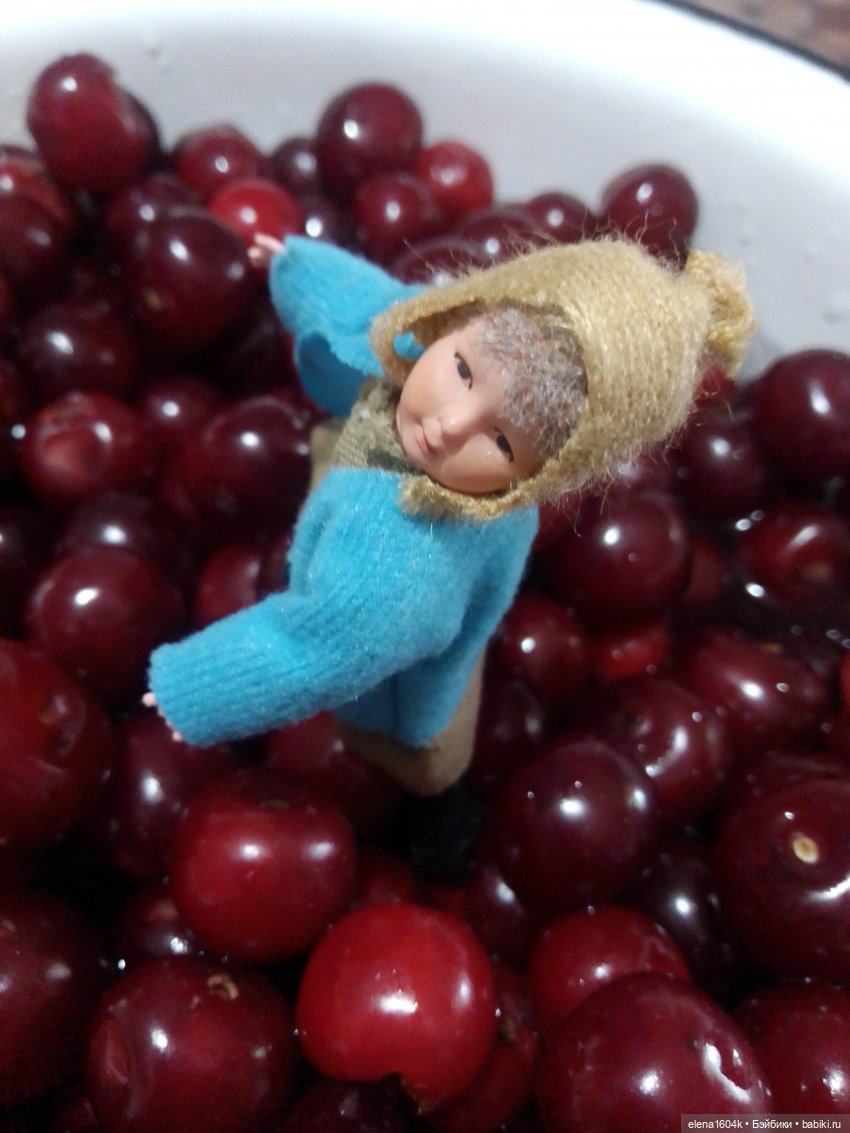 Вишневый сад и помощница Алиночка (фото 9)