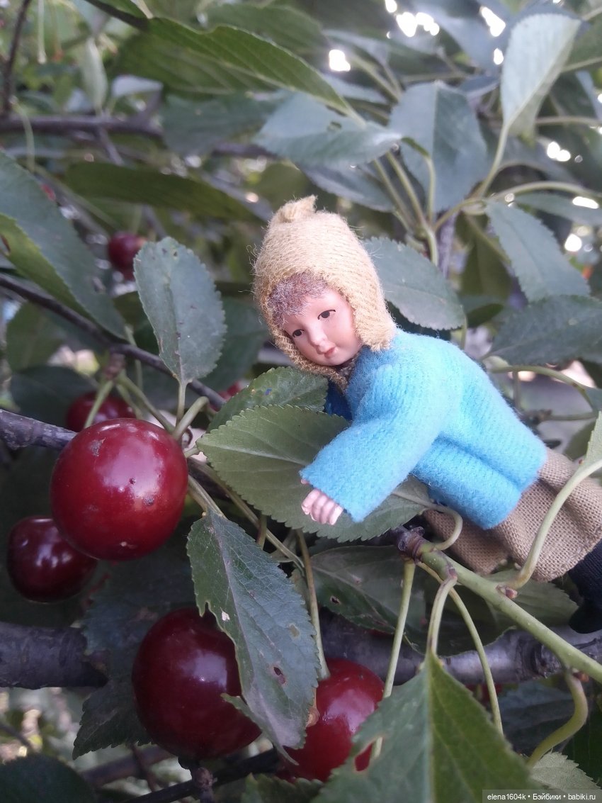 Вишневый сад и помощница Алиночка (фото 3)