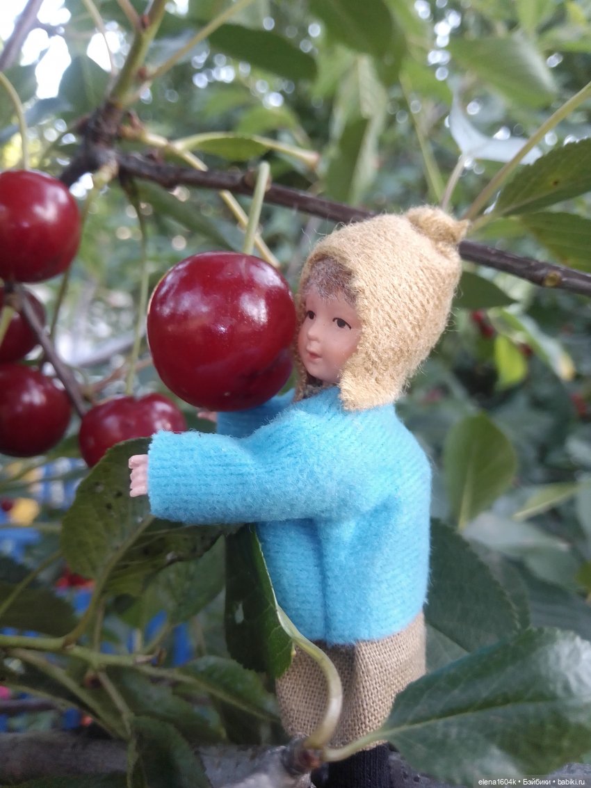 Вишневый сад и помощница Алиночка