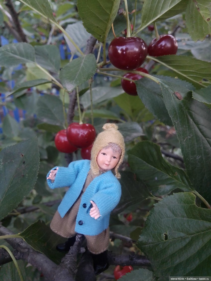 Вишневый сад и помощница Алиночка (фото 2)