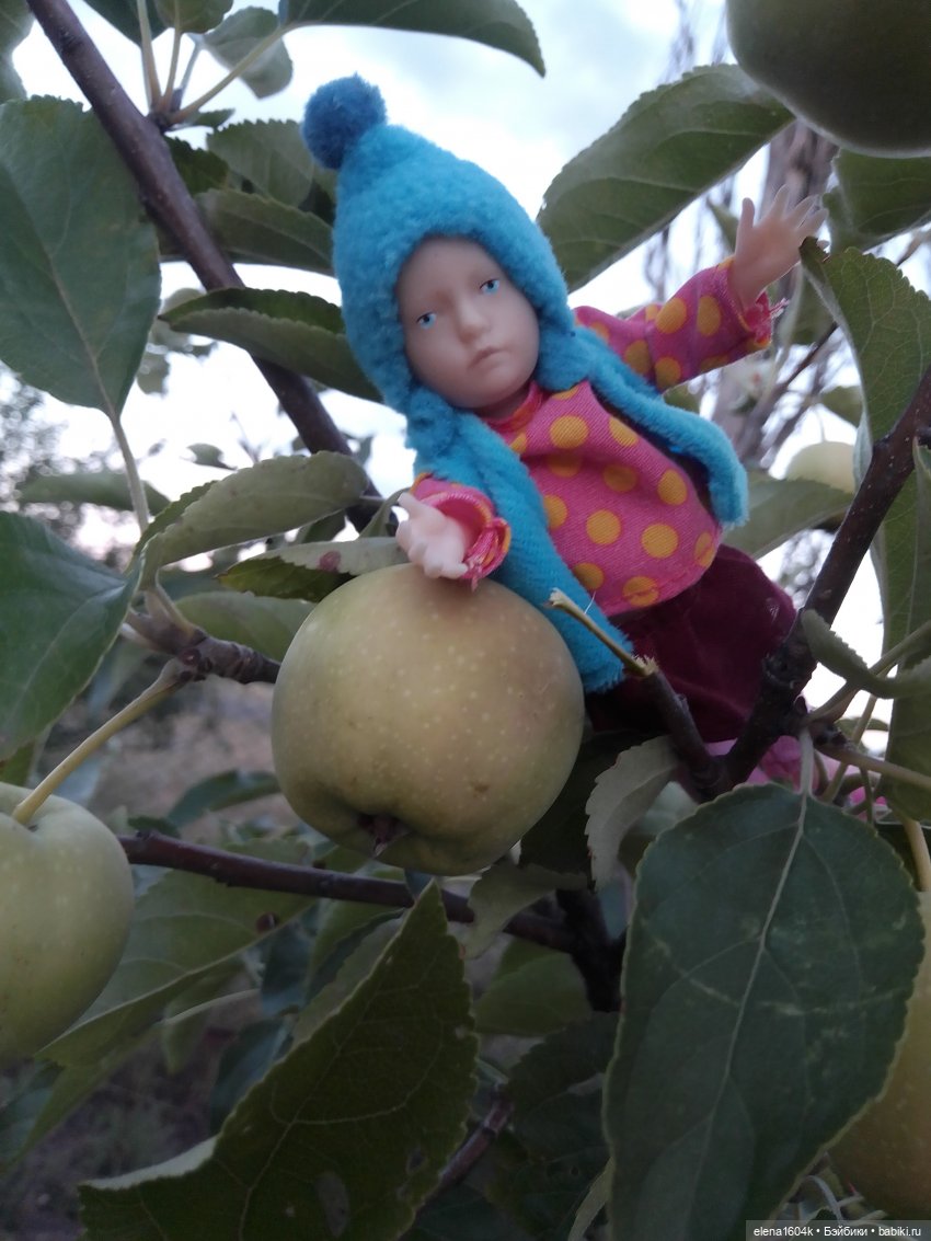 Вечерняя прогулка с Верочкой (фото 2)