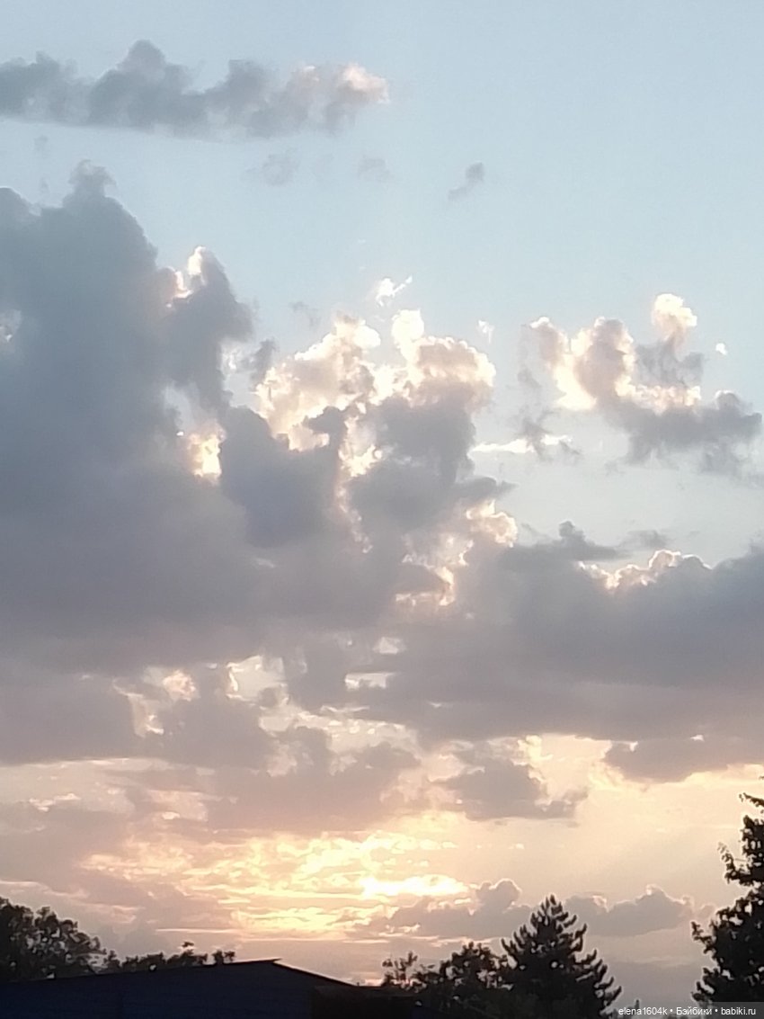 Вечерняя прогулка с Верочкой (фото 10)