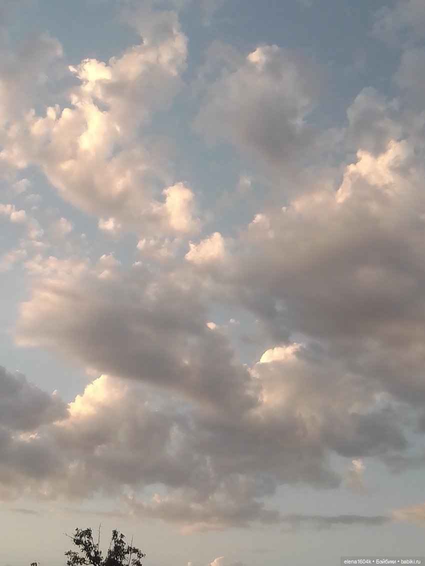 Вечерняя прогулка с Верочкой