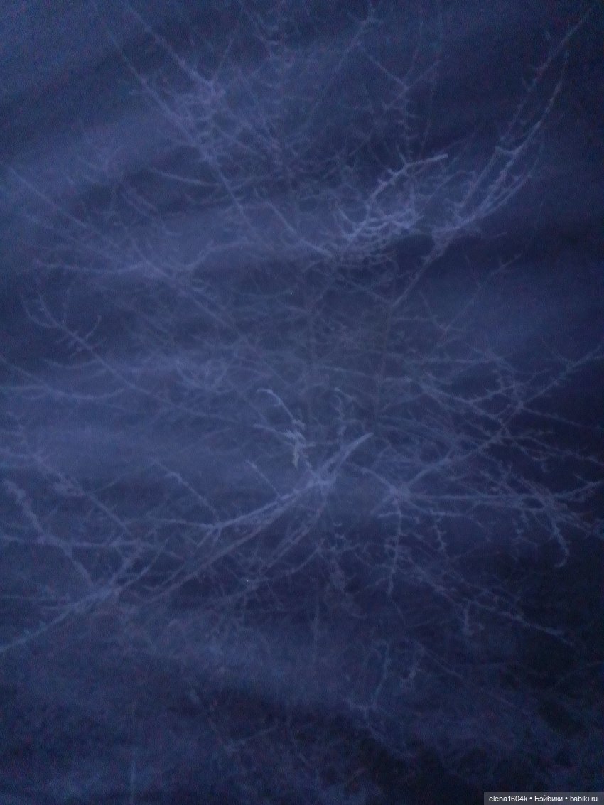 Ноябрьская прогулка с Эммочкой