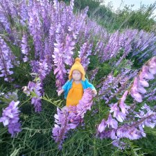 Минимирочки на прогулке