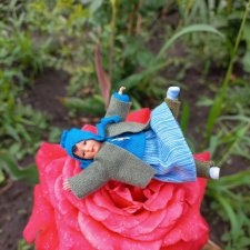 Мои дюймовочки