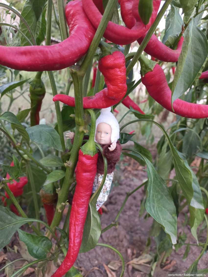 Собираем урожай — Куклы Минимир (Minimir): Пупсы 7 и 11 см