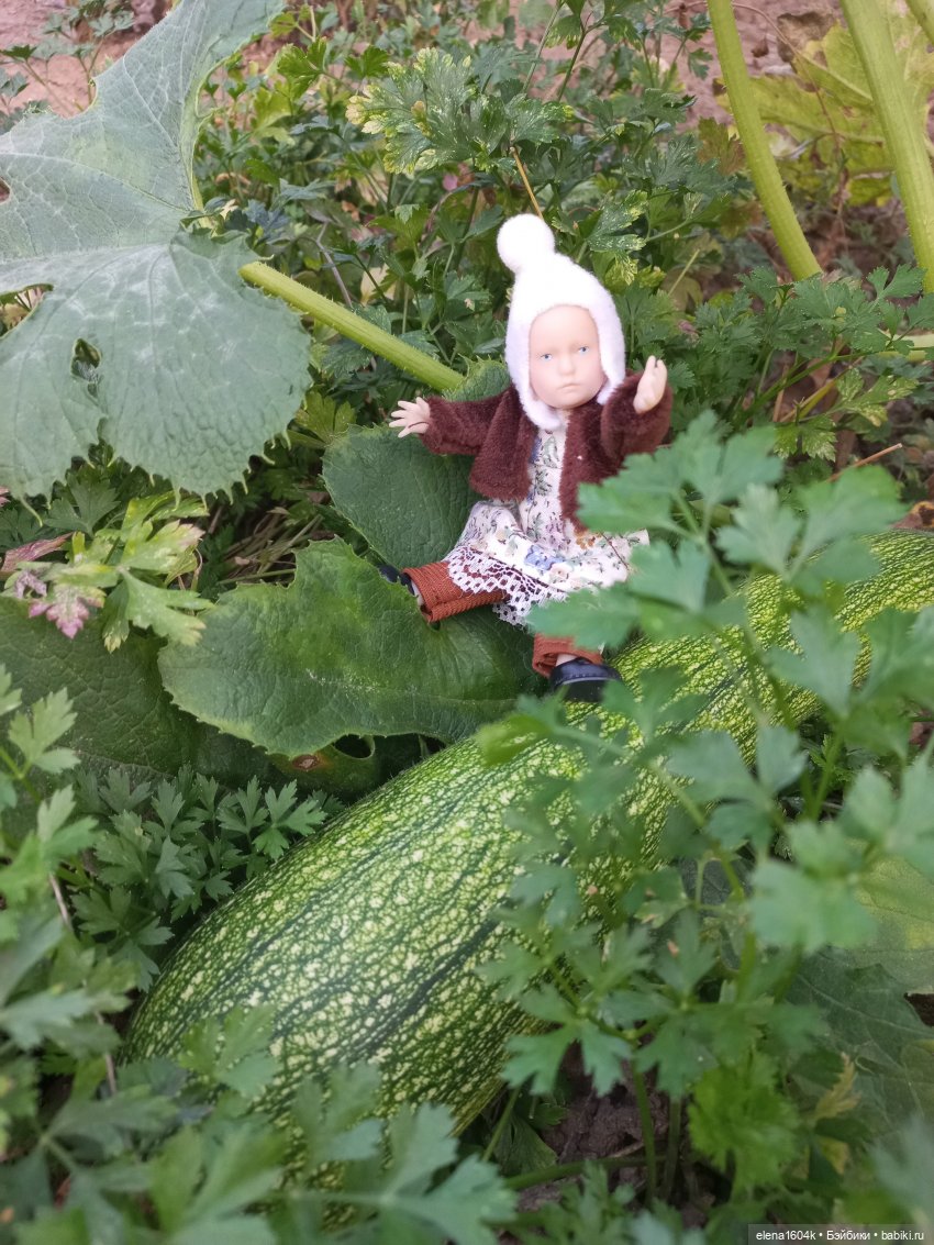 Собираем урожай — Куклы Минимир (Minimir): Пупсы 7 и 11 см (фото 2)