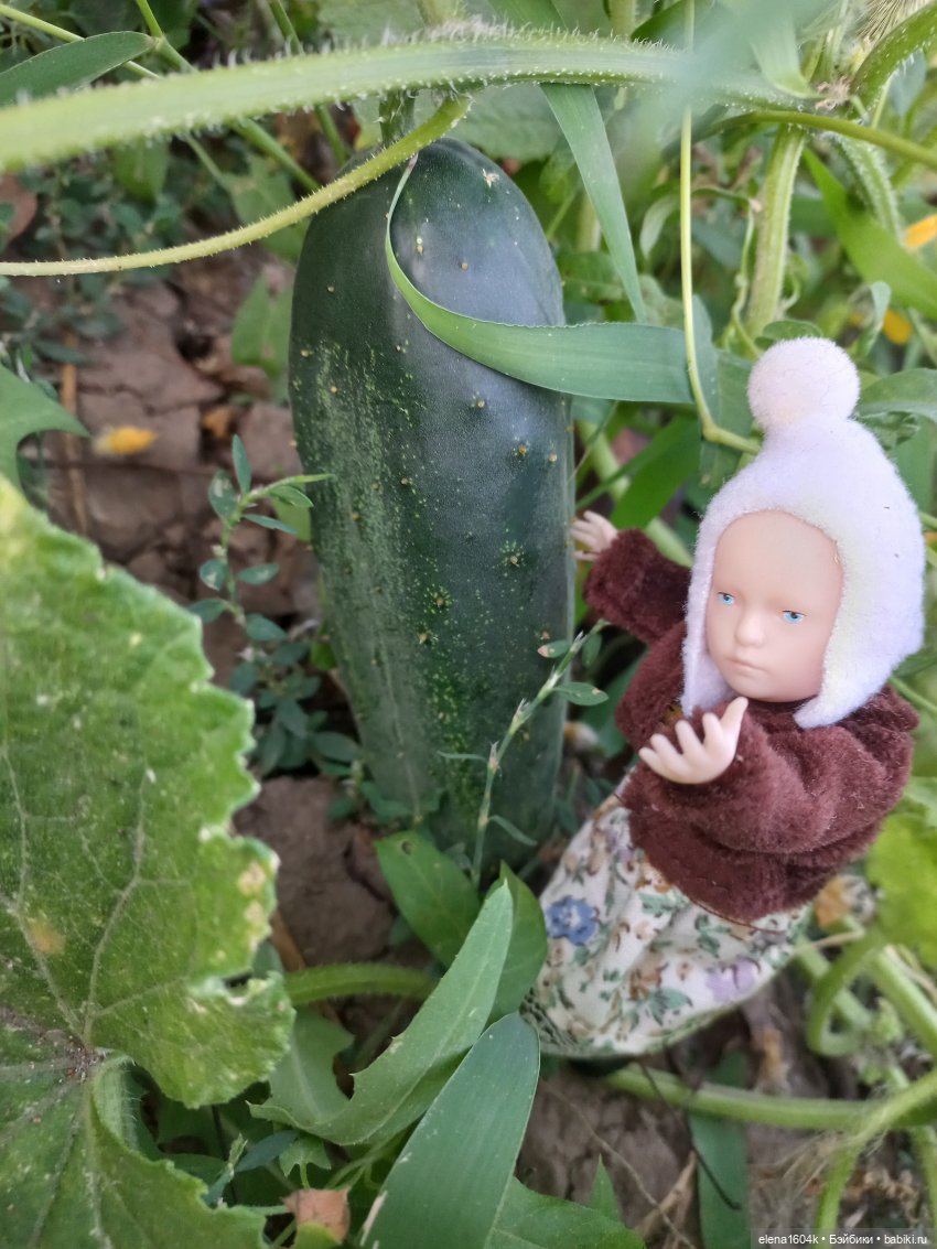 Собираем урожай — Куклы Минимир (Minimir): Пупсы 7 и 11 см (фото 3)