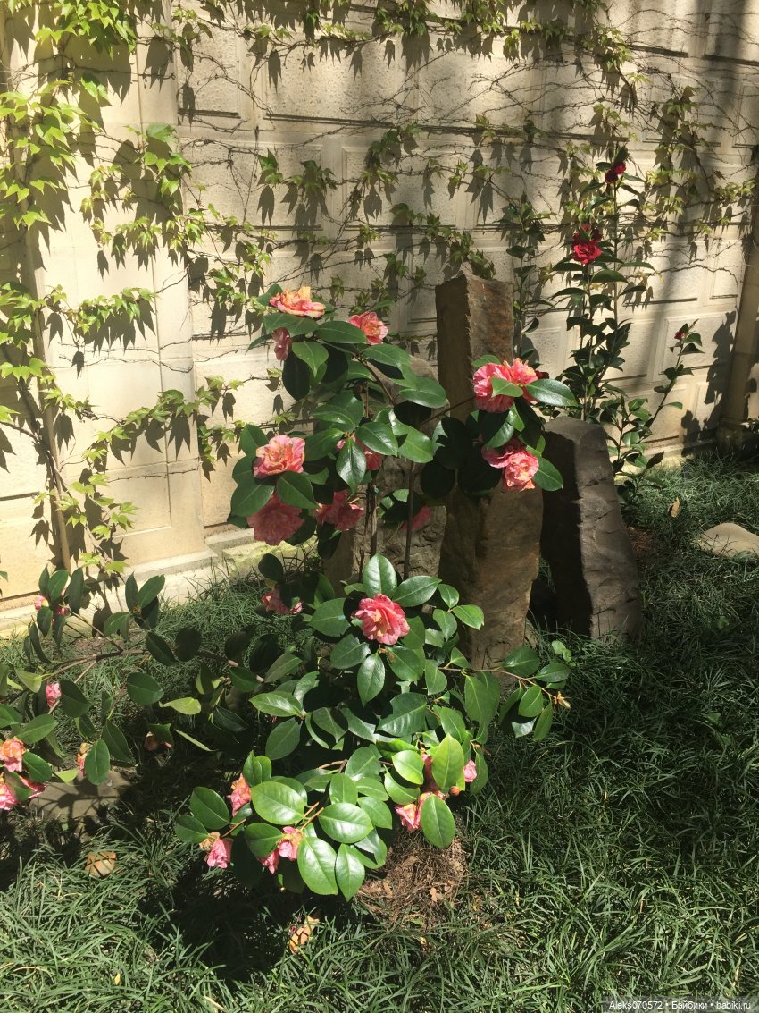 «Тот, кто хочет петь, всегда найдет песню!» (точнее, свинья везде грязь найдет)