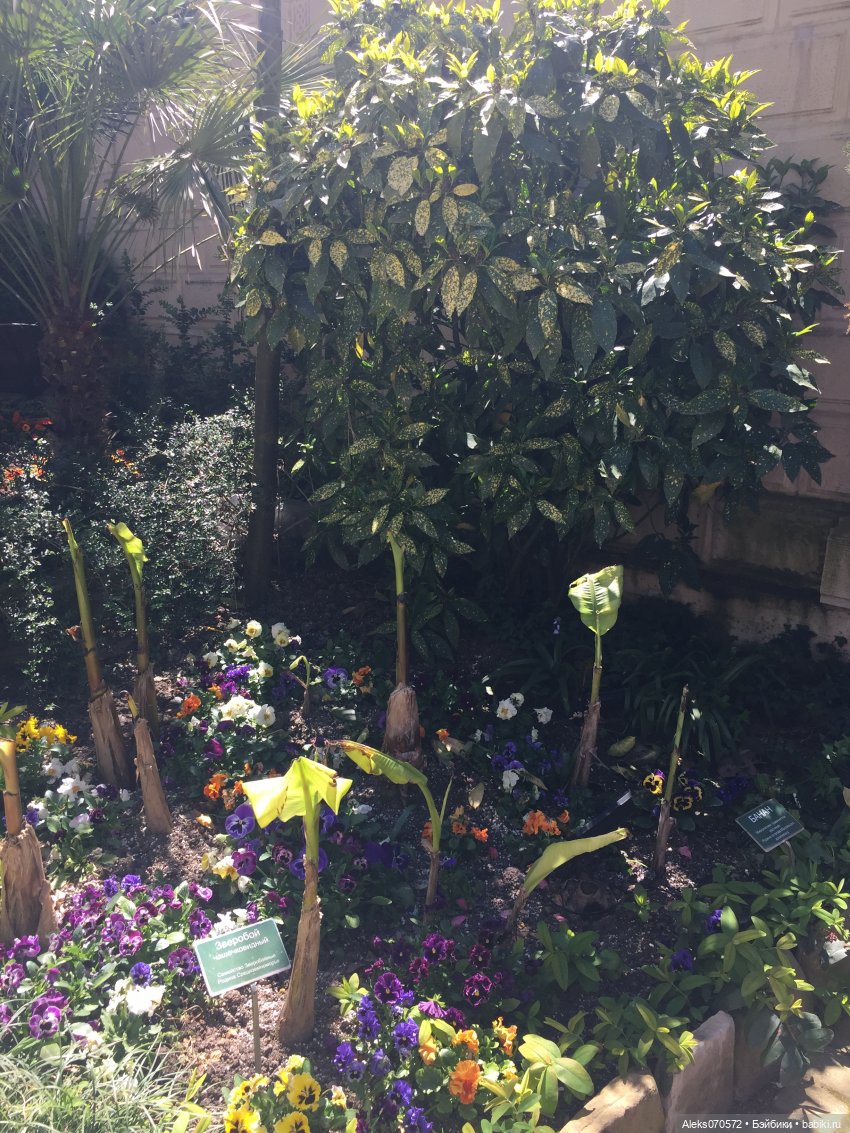 «Тот, кто хочет петь, всегда найдет песню!» (точнее, свинья везде грязь найдет)